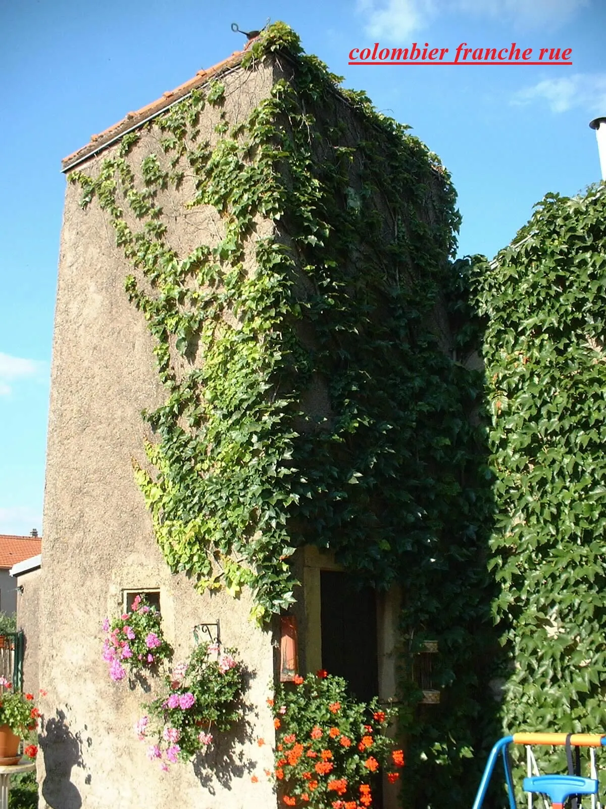 Photo 5